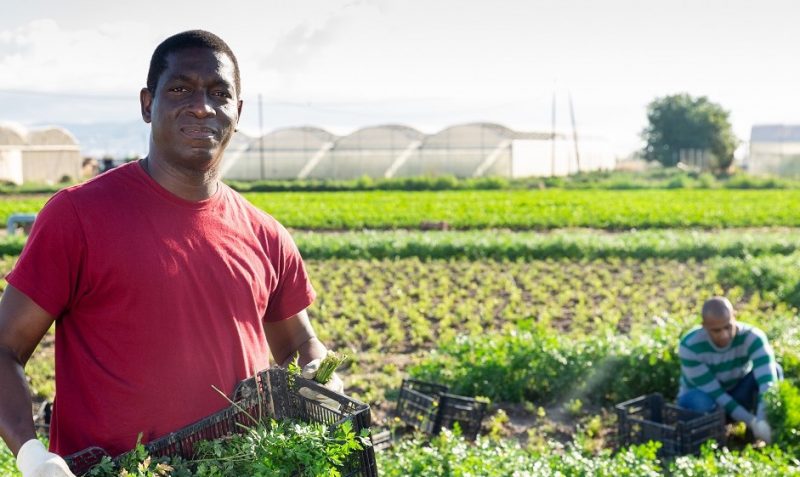 National Black Farmers’ Association Seeks to Block Roundup from the ...